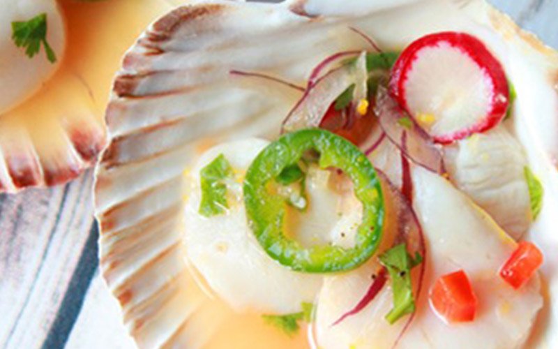 hamachi crudo with avocado puree
